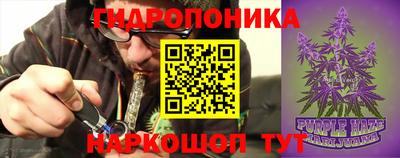 крисы Беслан