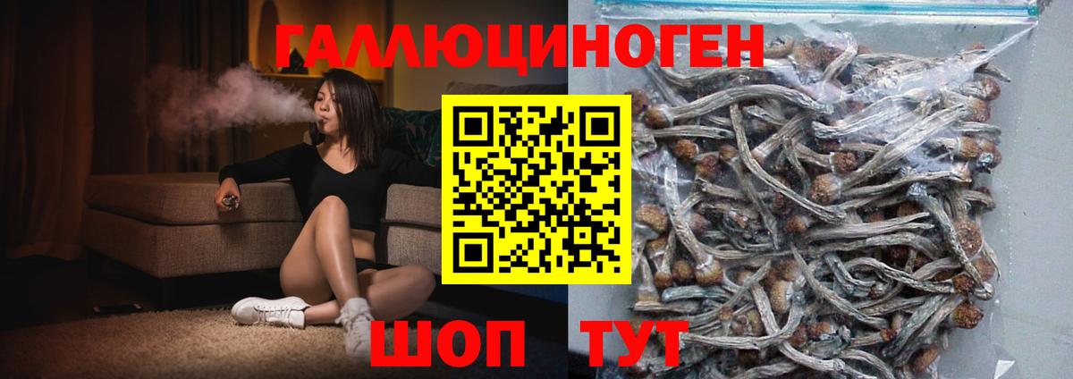 Балашиха  Галлюциногенные грибы мухоморы  Вход с VPN  Галлюциногенные грибы прущие грибы 