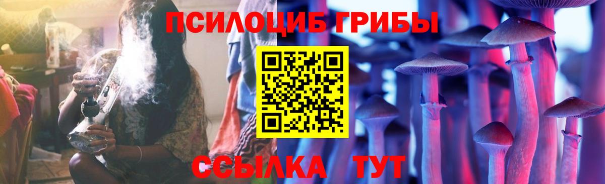 Псилоцибиновые грибы Psilocybe Балашиха
